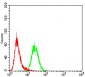 Rab5a Antibody